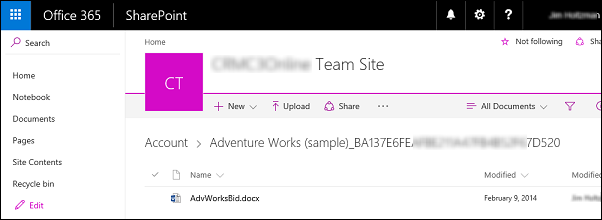 Microsoft 365 Team Site shared document.