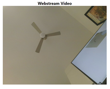 Screenshot of the device web stream.