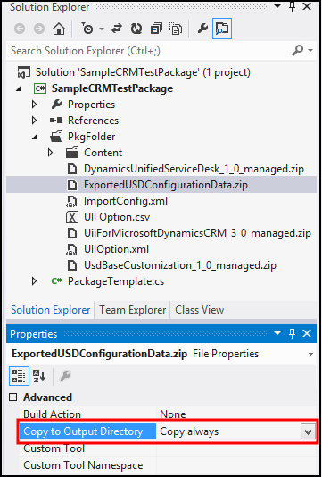 Copy to output directory field