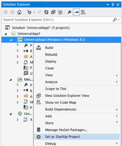 Choose Set as Startup Project