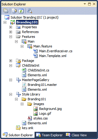Branding101 project in Solution Explorer