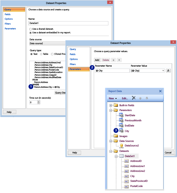 Dataset Properties Dialog Box and Report Pane