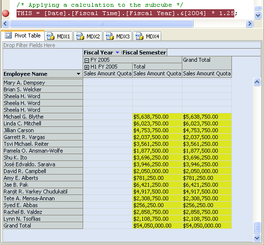 Data pane showing fiscal year 2005