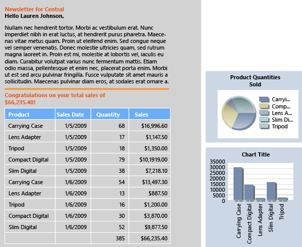 SSRS tutorial, free form report