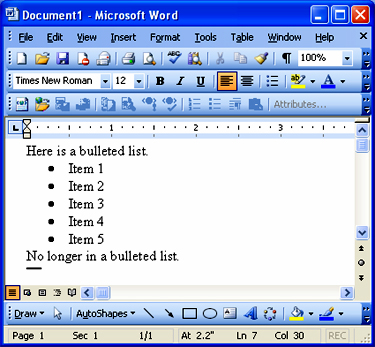 Microsoft Word