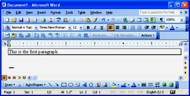 Microsoft Word