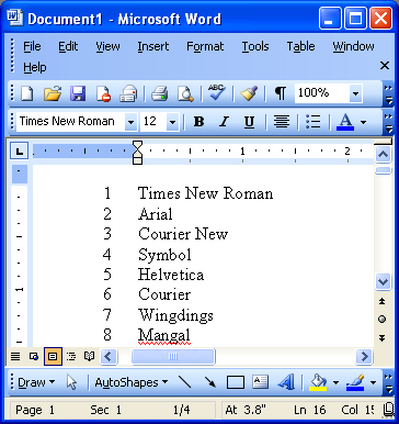 Microsoft Word