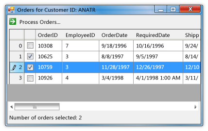 DataGridView Sample Detail Form