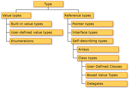 Common type system