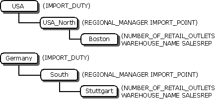 properties at each level of dimension