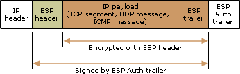 Encapsulating Security Payload