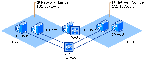 Two LISs Running on a Single Switch