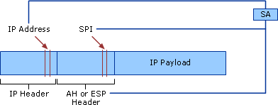 IPSec Protocols and SA Architecture