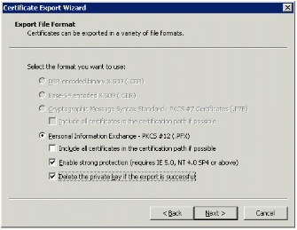 Figure 14: Choosing a file format