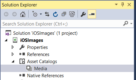 Expand the Asset Catalog folder