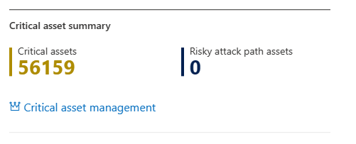 Screenshot of critical asset management.