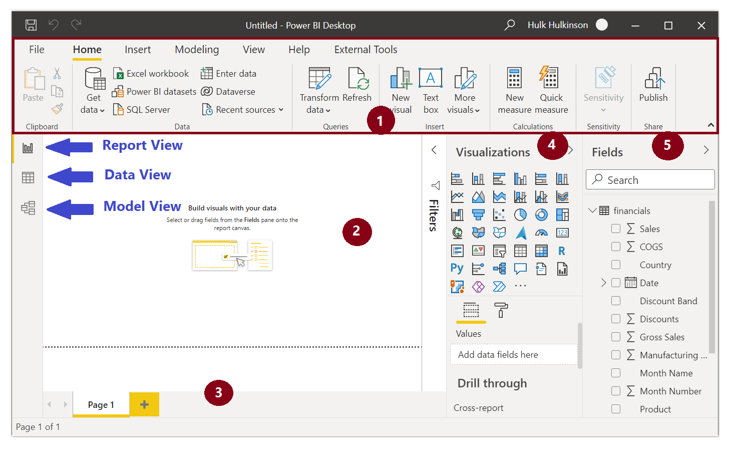 The five areas of Report view.