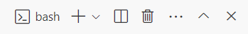 Screenshot of the Visual Studio Code terminal window, with the bash option shown.