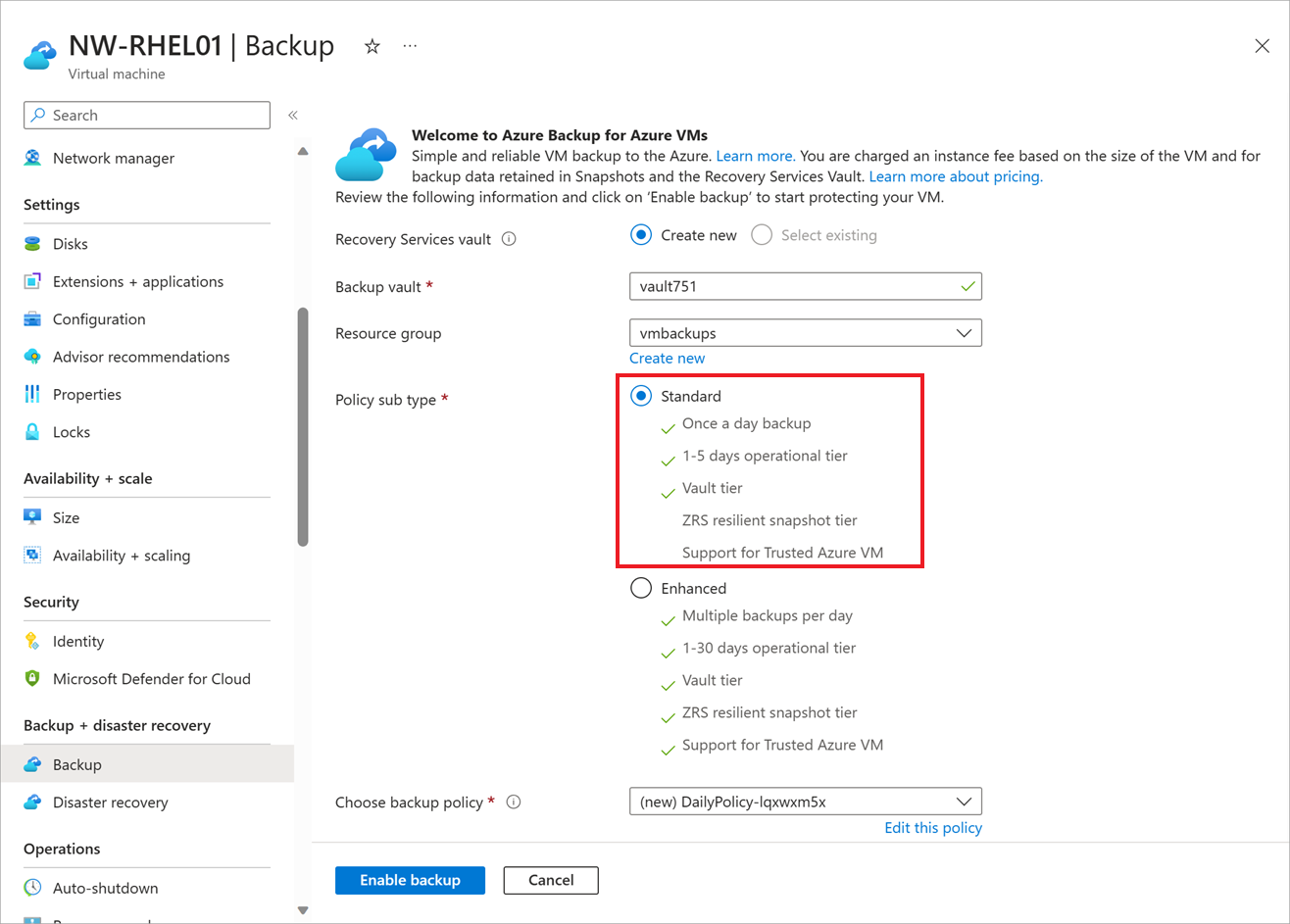 Screenshot that shows the backup options.