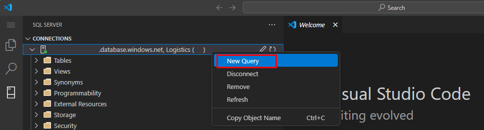 Screenshot of the New Query option under Connections in the mssql extension for Visual Studio Code.