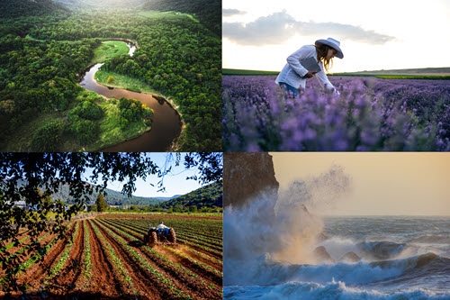 Photograph showing of a rain forest, a field of lavender, a farm, and an ocean.