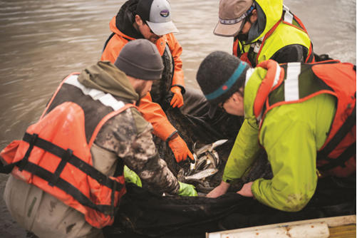 Photograph showing of four people looking at a haul of fish.