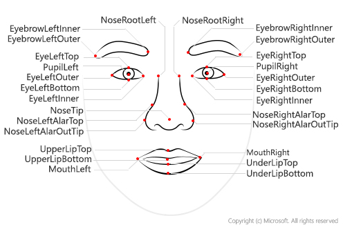facial landmarks image showing data around face characteristics