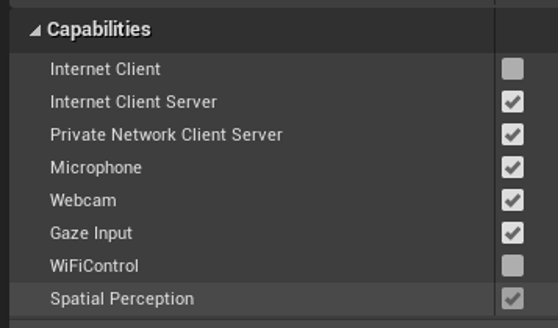 Screenshot of the HoloLens project settings capabilities with spatial perception highlighted