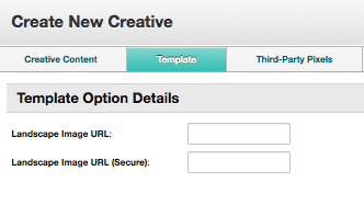 A screenshot of the Template tab with the Template Option Details settings.