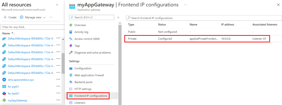 Panel Configuraciones de IP de front-end con el tipo privado resaltado.