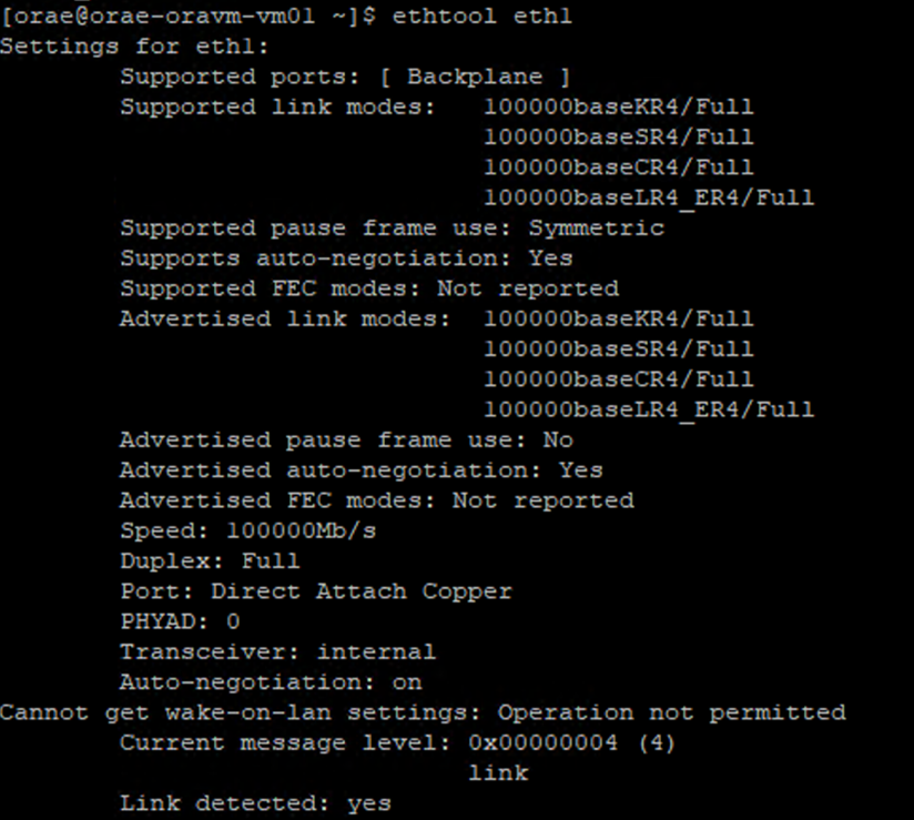 Captura de pantalla de la salida de la configuración para eth1.