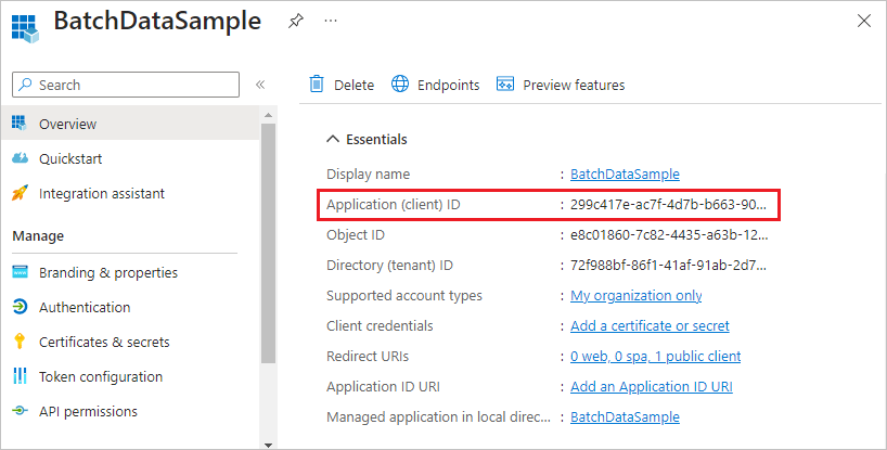 Captura de pantalla del identificador de la aplicación que aparece en Azure Portal.