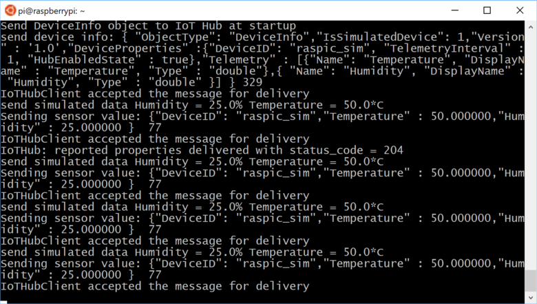 Salida de la aplicación Raspberry Pi