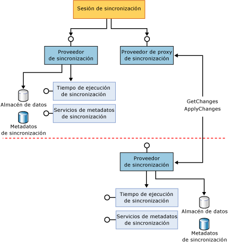 Componentes de participantes completos y participantes proxy