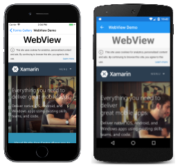 Ejemplo de WebView