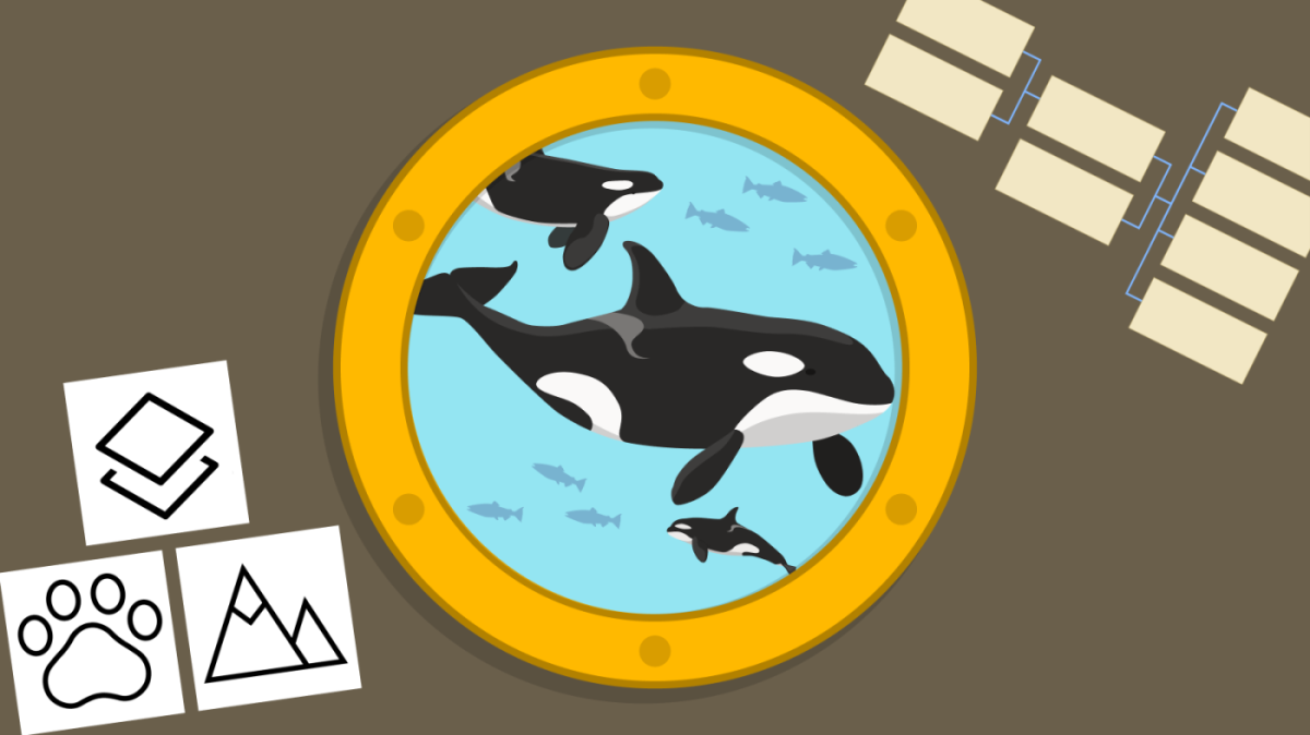 Ilustración de una ballena orca a través de la claraboya con símbolos de tipo de datos y un pequeño diagrama en blanco.