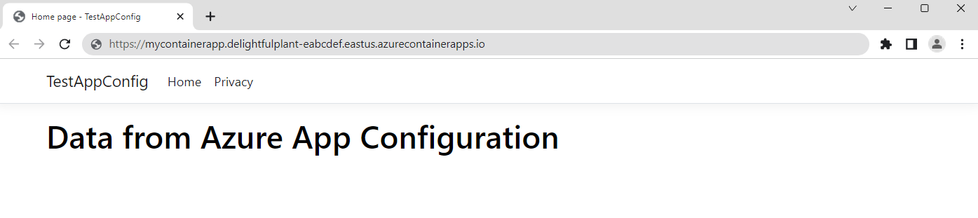 Capture d’écran d’un navigateur Internet affichant l’application en cours d’exécution.