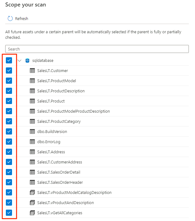 Capture d’écran présentant comment définir la portée pour analyser l’ensemble de la base de données.