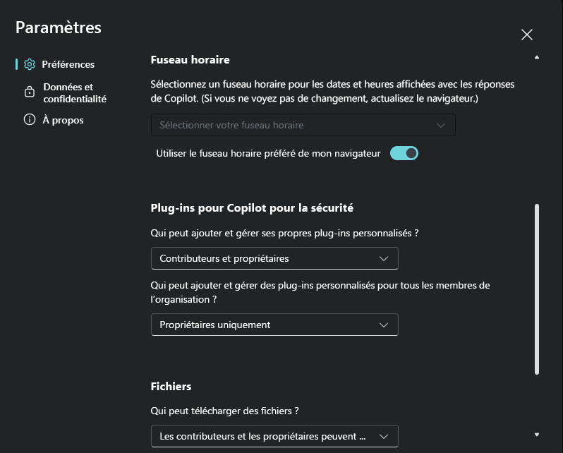 Capture d’écran montrant les options de contrôle pour les plug-ins personnalisés et les plug-ins internes en préversion.