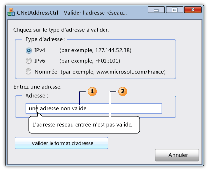 Boîte de dialogue avec un contrôle d’adresse réseau et une info-bulle.