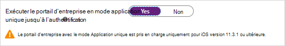 Capture d’écran montrant l’option Exécuter le portail d’entreprise en mode Application unique.