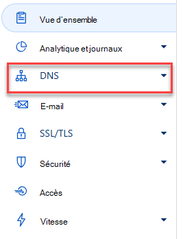 Sélectionnez DNS.