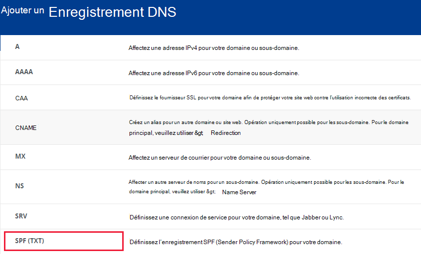 Sélectionnez la section SPF (TXT).