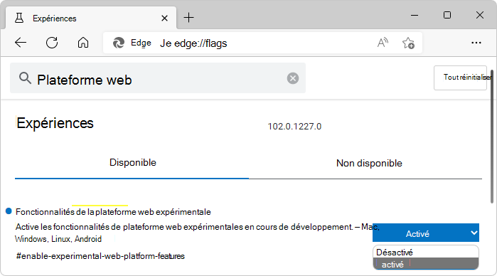 Fonctionnalités de > la plateforme web expérimentale Des indicateurs Microsoft Edge