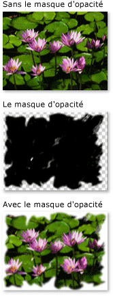 Objet avec un masque d'opacité ImageBrush