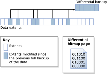 Bitmap différentielle identifie les extensions modifiées