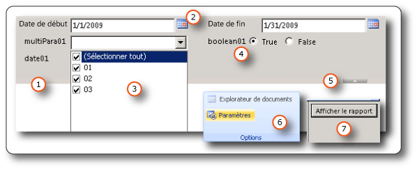 Paramètres sur la barre d'outils de la visionneuse de rapports