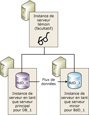 Session de mise en miroir avec un témoin