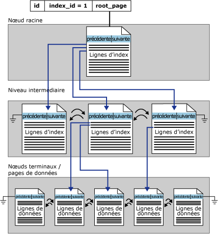 Niveaux d'index cluster