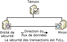 Témoin et deux serveurs partenaires d'une session